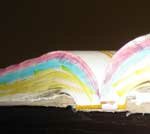 Damaged Book